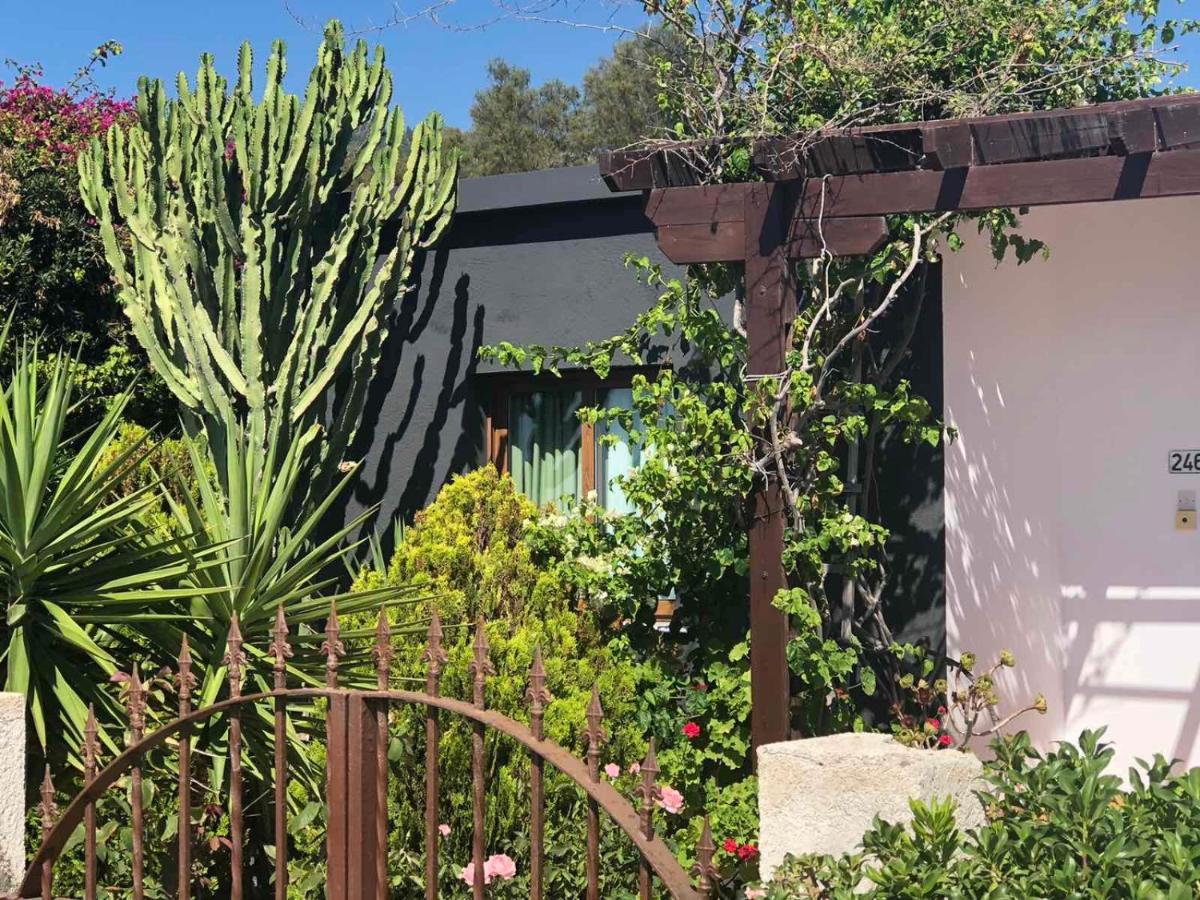 Spiti Damianos Villa Beachfront Помос Екстериор снимка